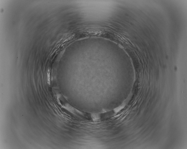 X0000086931394200704231318