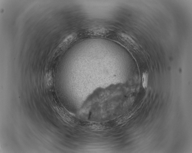 X0000086931395200704231318