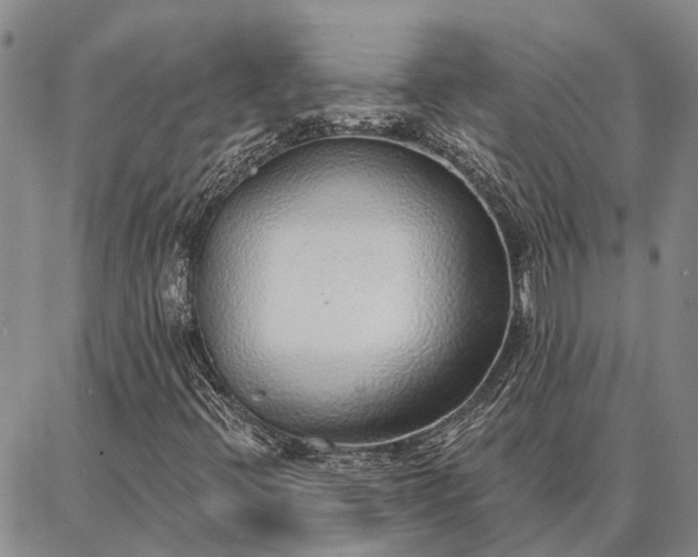 X0000086931396200704231318