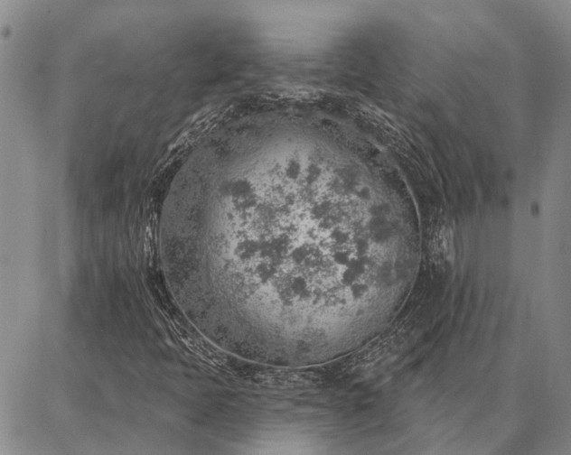 X0000086931397200704231318