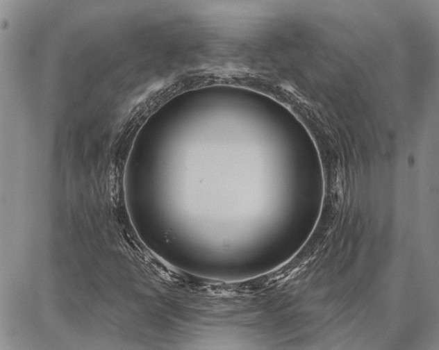 X0000086931398200704231318