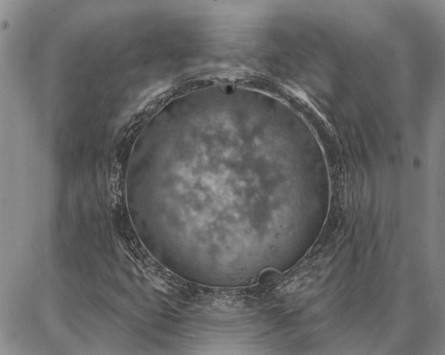 X0000086931399200704231318