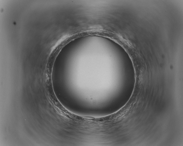 X0000086931400200704231319