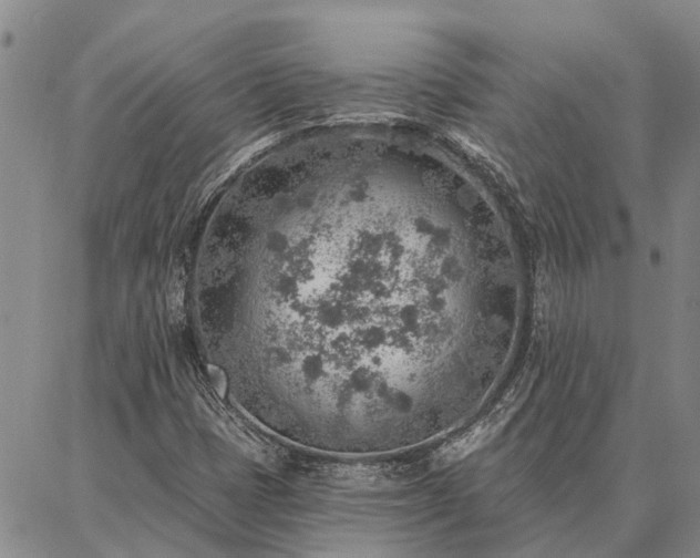 X0000086931401200704231319