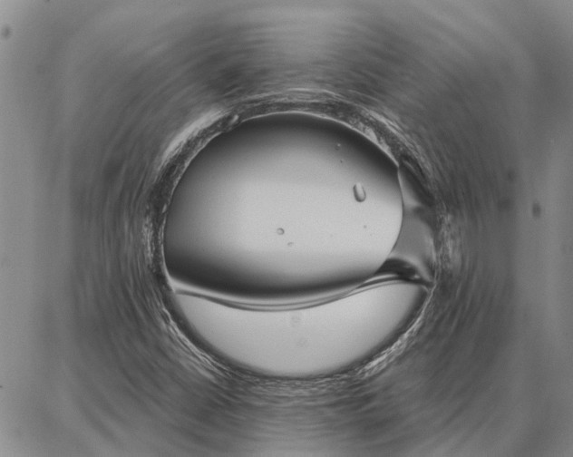 X0000086931402200704231319