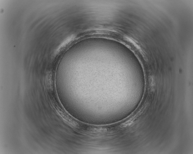 X0000086931403200704231319