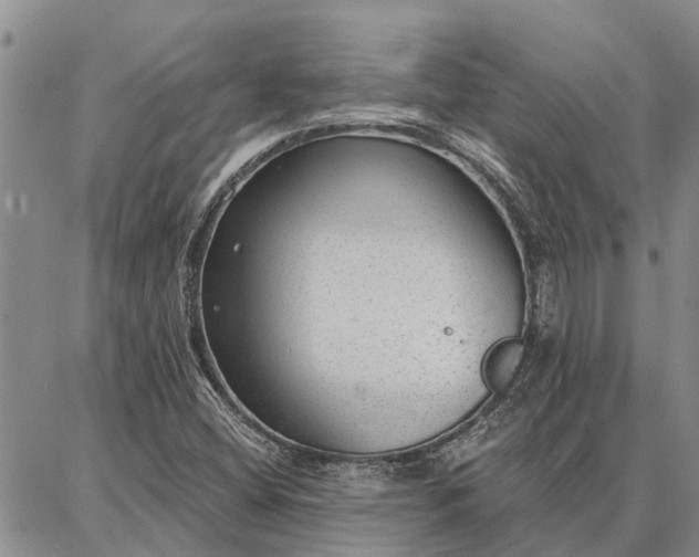 X0000086931404200704231319