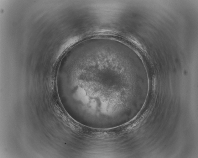 X0000086931405200704231319