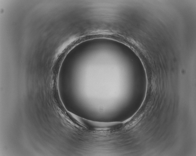 X0000086931406200704231319