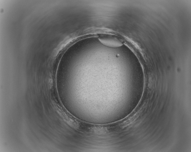 X0000086931407200704231319