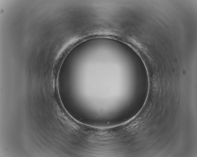 X0000086931408200704231319