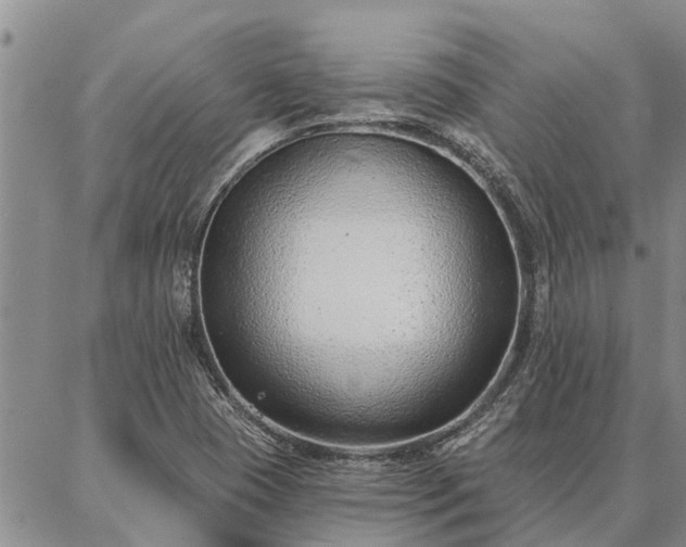 X0000086931409200704231319