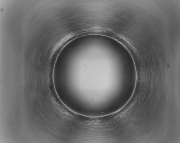 X0000086931410200704231319