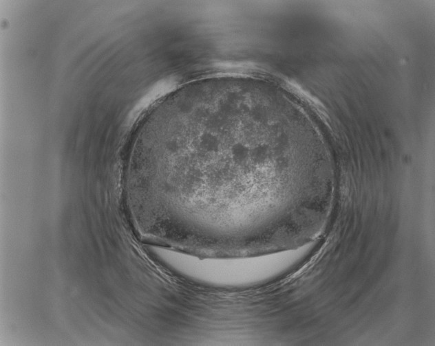 X0000086931411200704231319