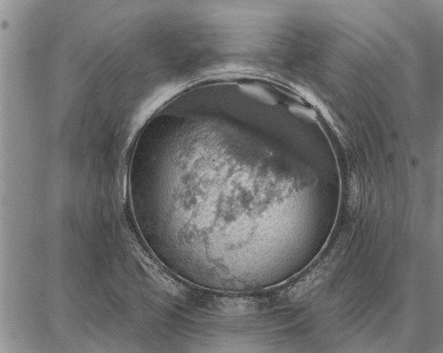 X0000086931413200704231319