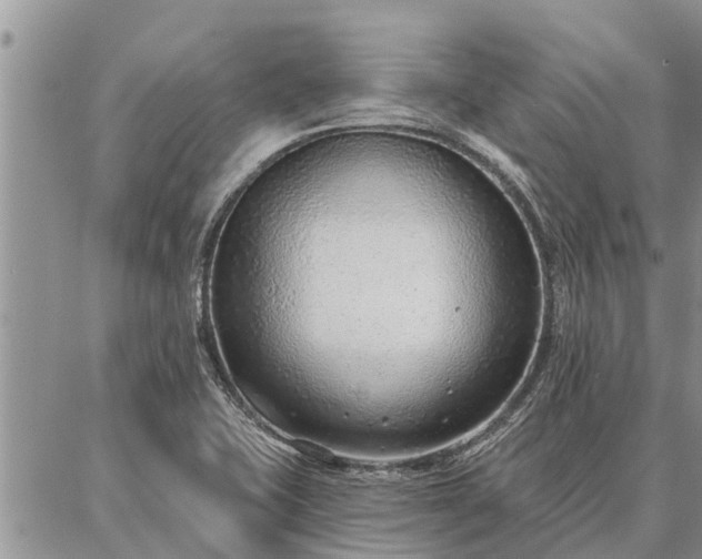 X0000086931415200704231319