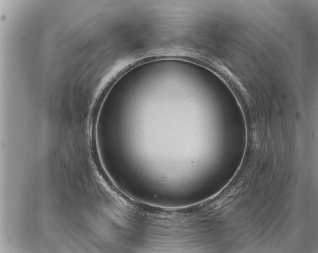 X0000086931416200704231319