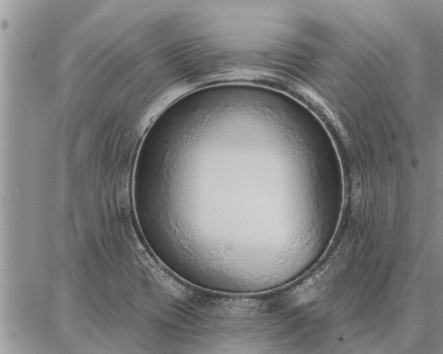 X0000086931417200704231319