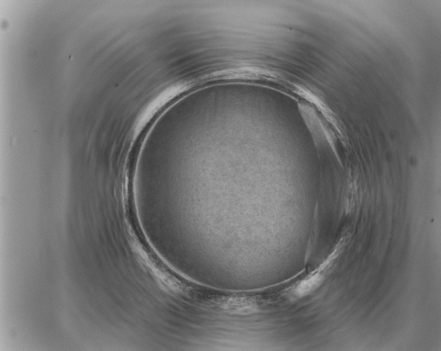 X0000086931418200704231319