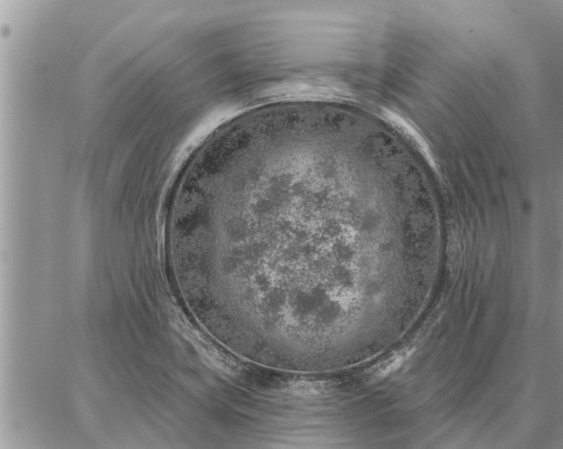 X0000086931419200704231319