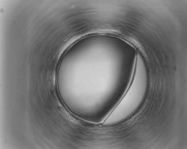 X0000086931420200704231319