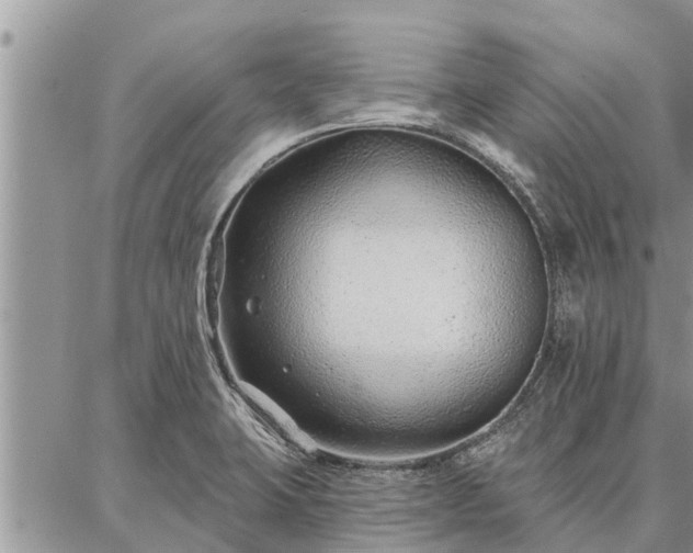 X0000086931423200704231319