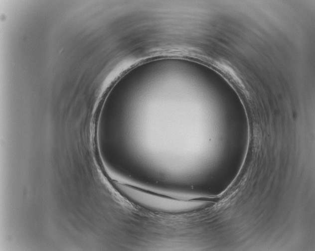 X0000086931424200704231319