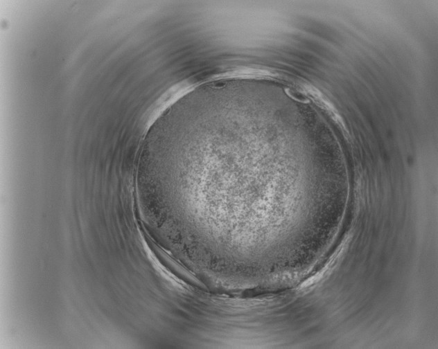 X0000086931425200704231319