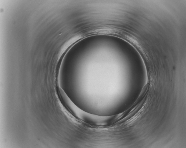 X0000086931426200704231319