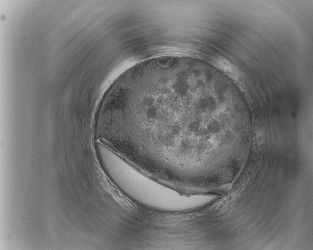 X0000086931427200704231319