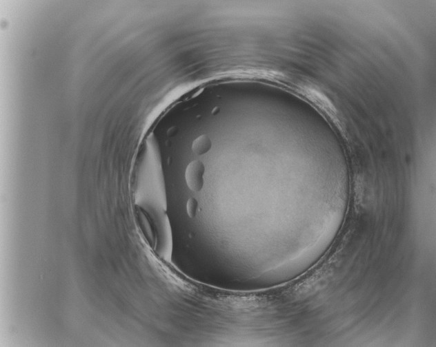 X0000086931428200704231319