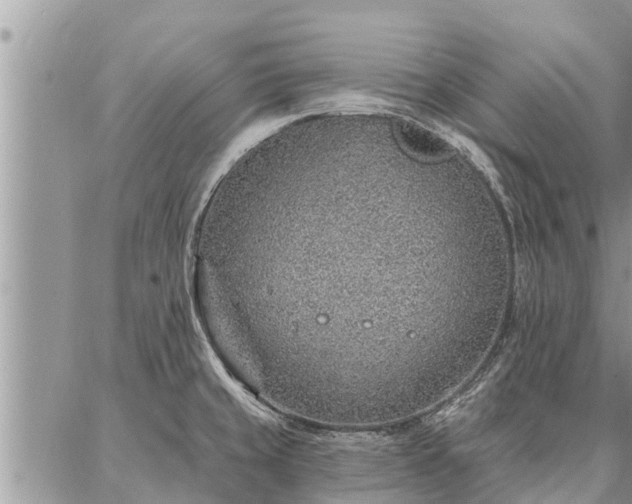 X0000086931429200704231319