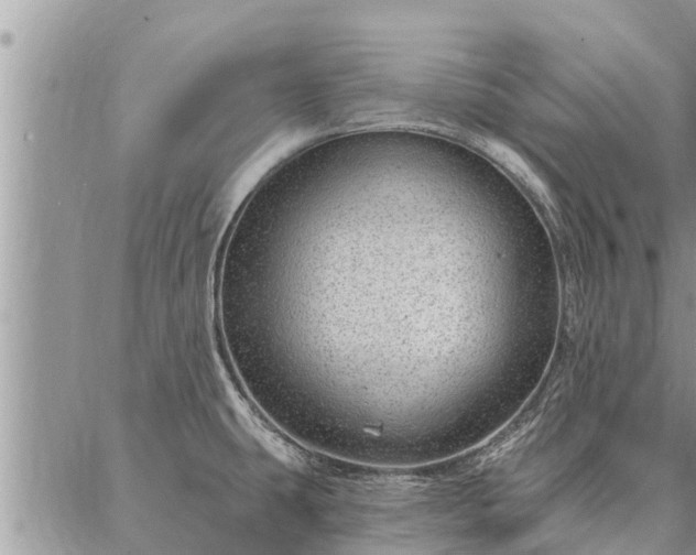 X0000086931431200704231319