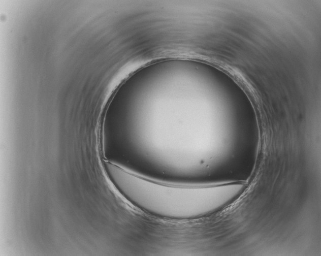 X0000086931432200704231319