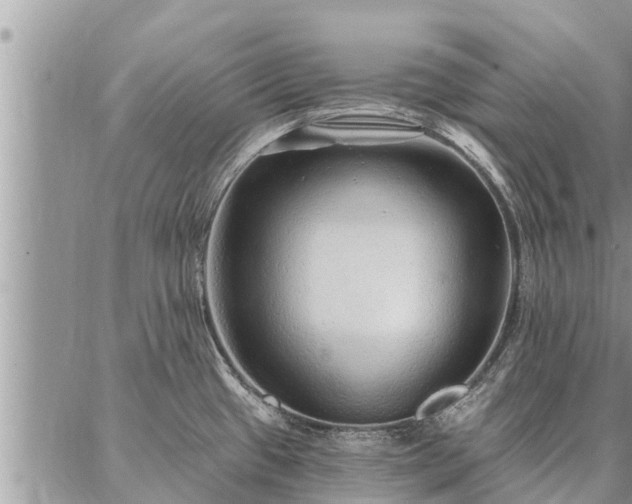 X0000086931433200704231319