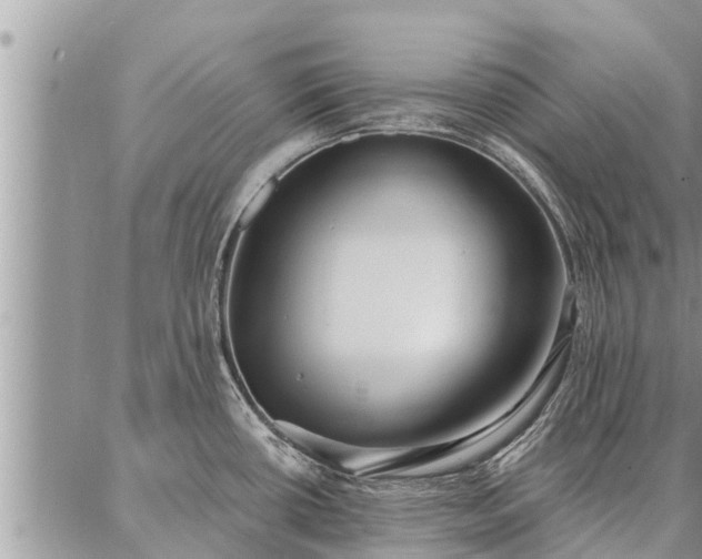 X0000086931434200704231319