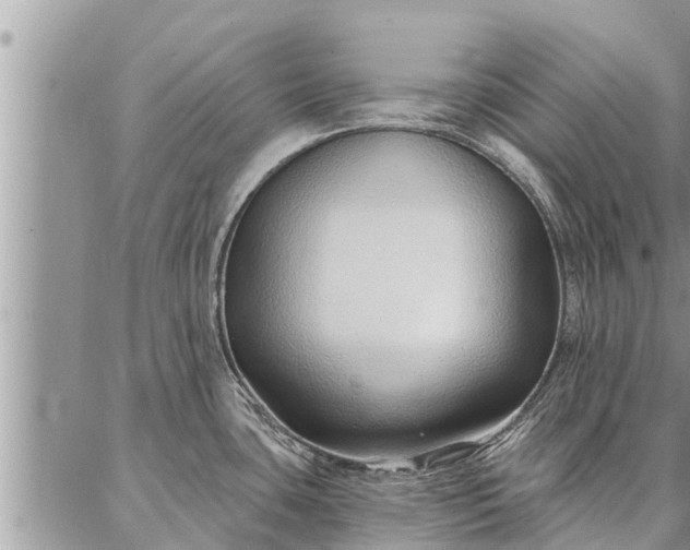 X0000086931435200704231319