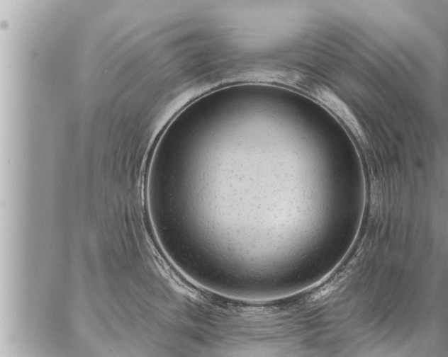 X0000086931436200704231319