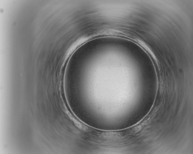 X0000086931437200704231319