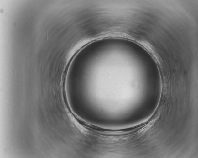 X0000086931438200704231319