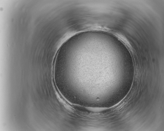 X0000086931439200704231319