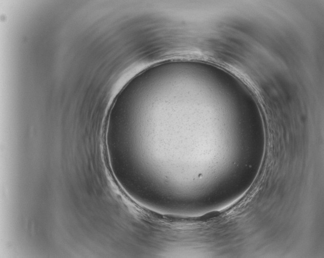 X0000086931440200704231319