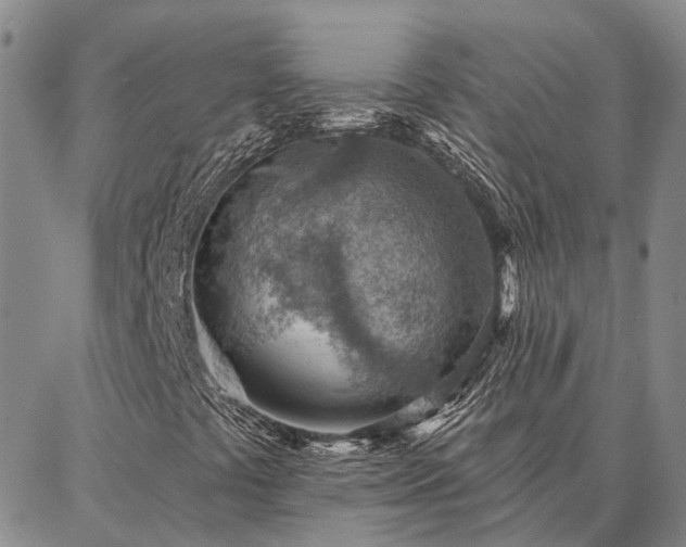 X0000086931441200704231318