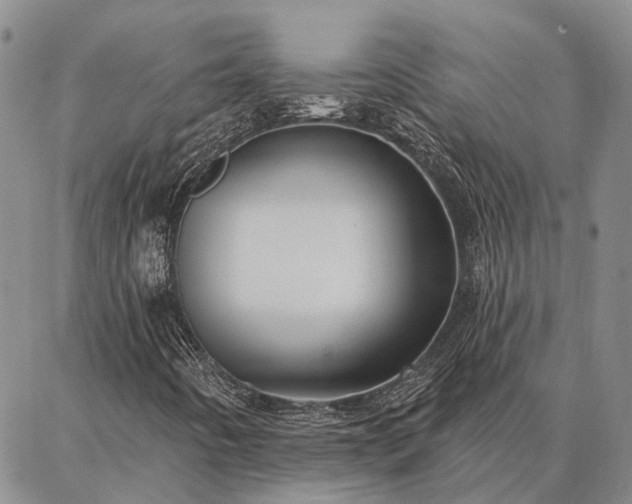 X0000086931442200704231318