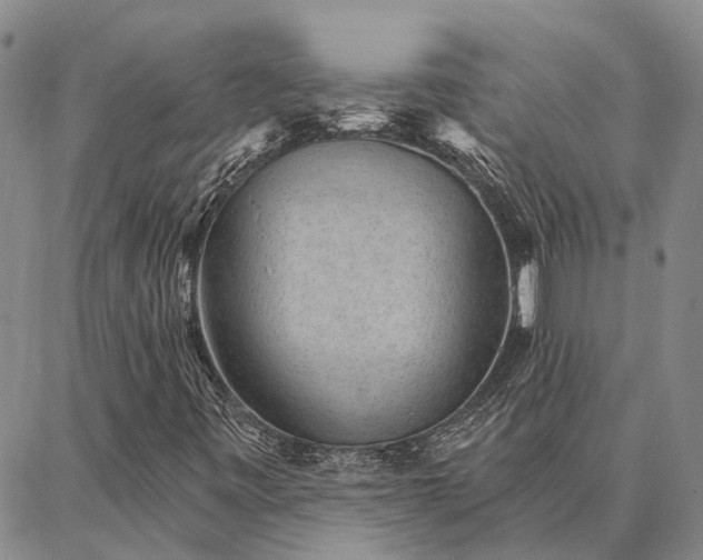 X0000086931443200704231318