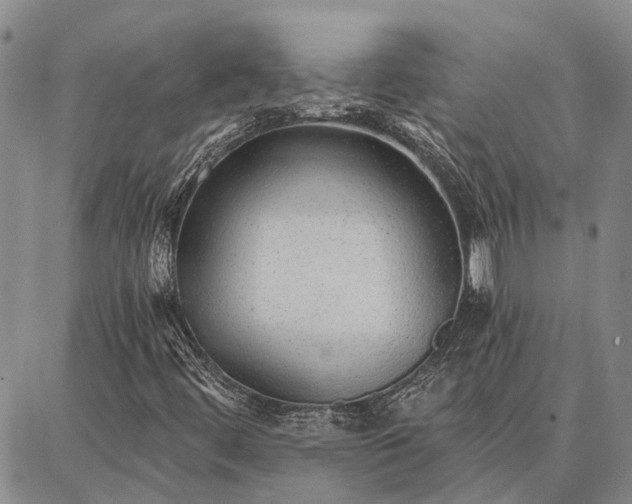 X0000086931444200704231318