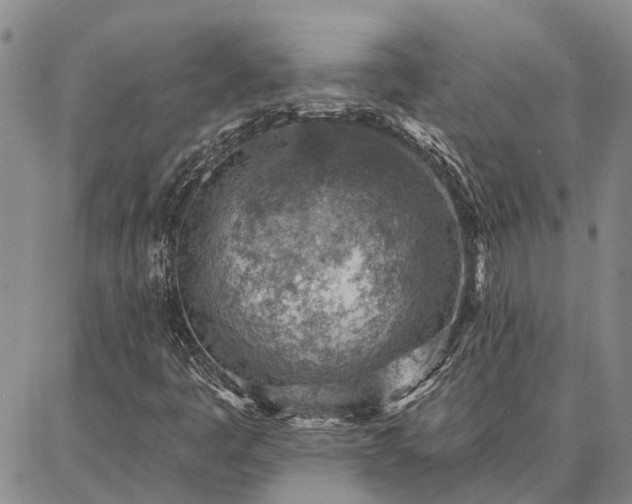 X0000086931445200704231318