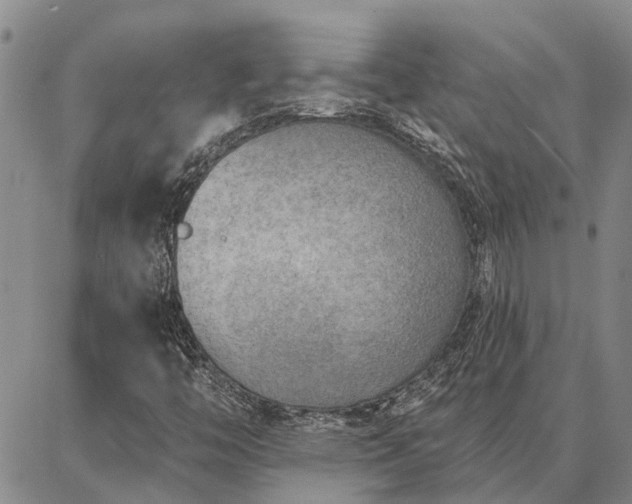 X0000086931446200704231318