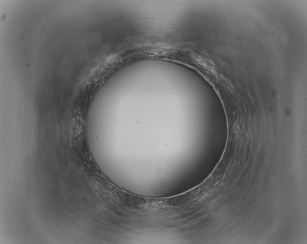 X0000086931447200704231318