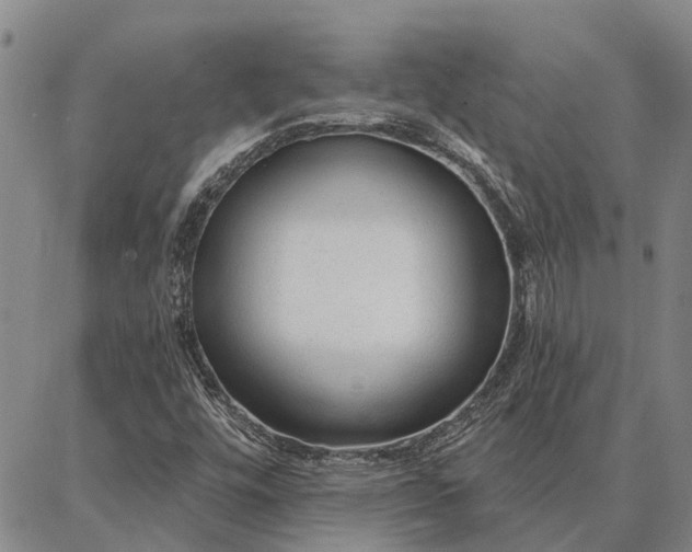 X0000086931448200704231318